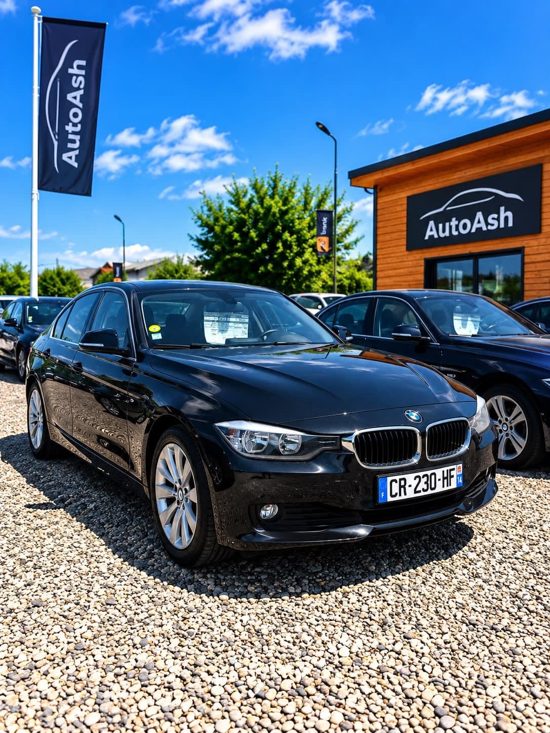 BMW 318d Executive Automată — fotografia 1 din 9